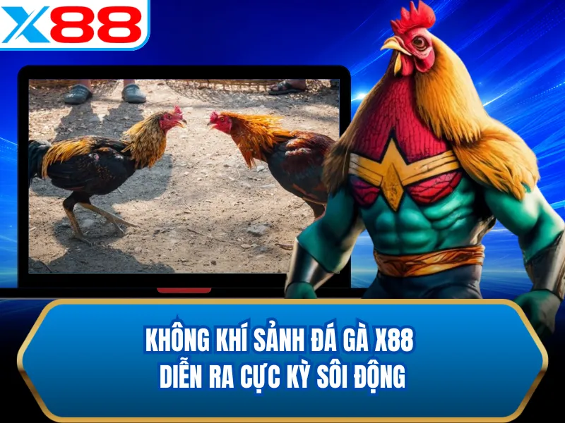 Không khí sảnh đá gà X88 diễn ra cực kỳ sôi động Không khí sảnh đá gà X88 diễn ra cực kỳ sôi động
